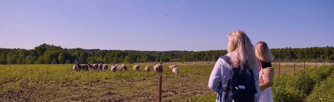 Постер Прогулка по молодому винограднику и контактной ферме. Экскурсия в Калининграде