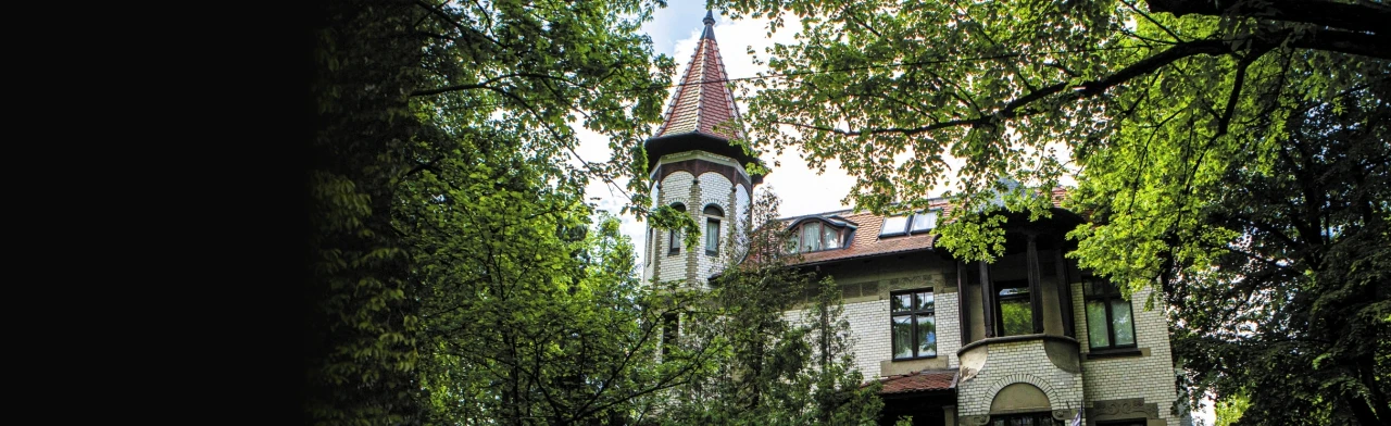 Постер Пешеходная экскурсия Амалиенау