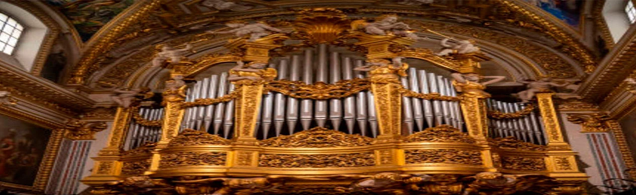 Постер Витражи Notre-Dame в Саратове