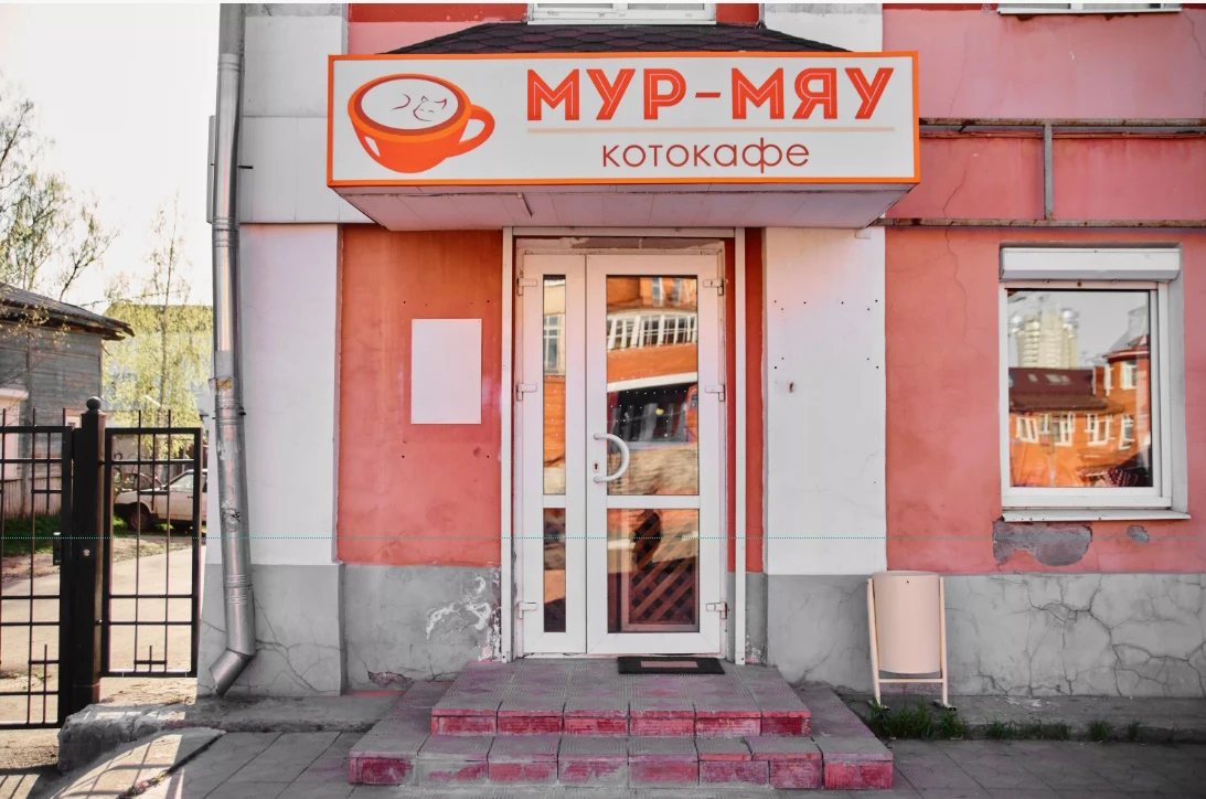 Постер Котокафе "Мур-мяу" в Твери