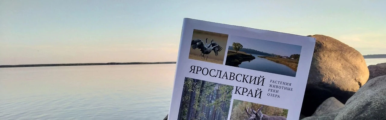 Постер Заповедные места Ярославского края. Краеведческое путешествие в Ярославле