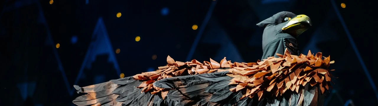 Постер Ханума в Архангельске