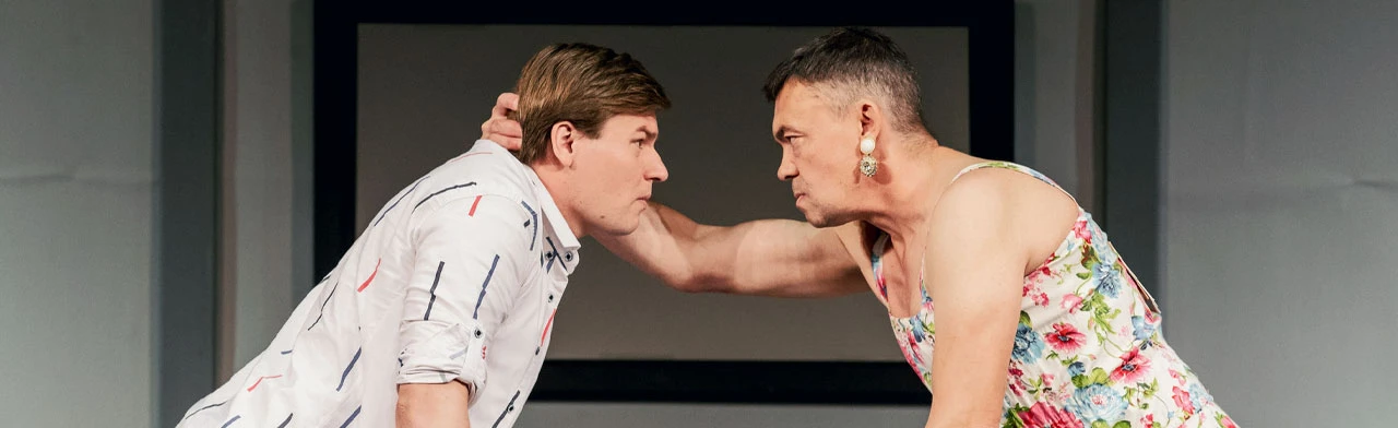 Постер Феномены