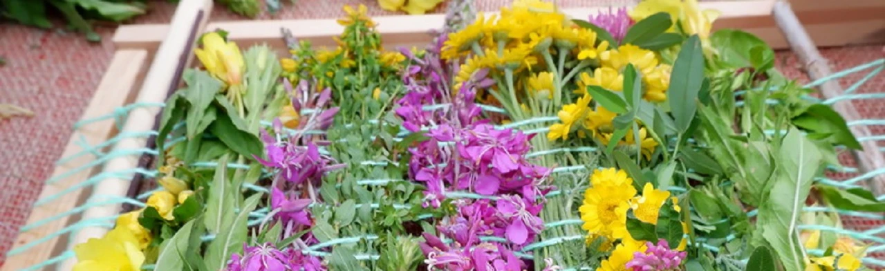 Постер Культурные вечорки в Чайковском