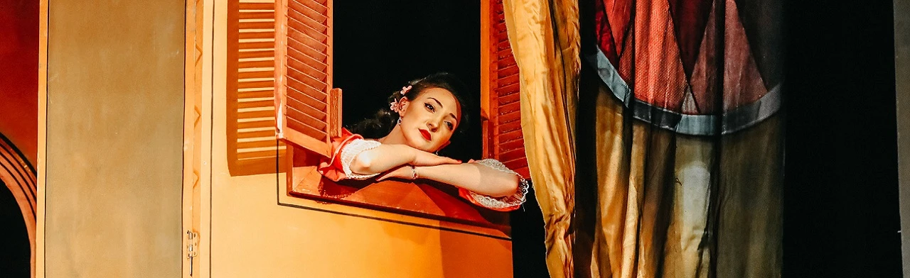 Постер Венецианские близнецы