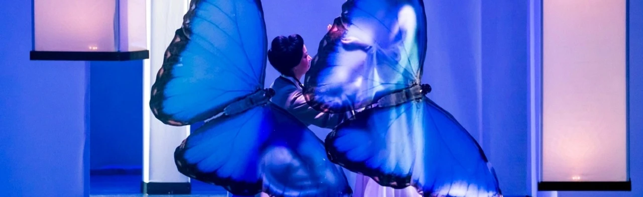 Постер Мадам Баттерфляй