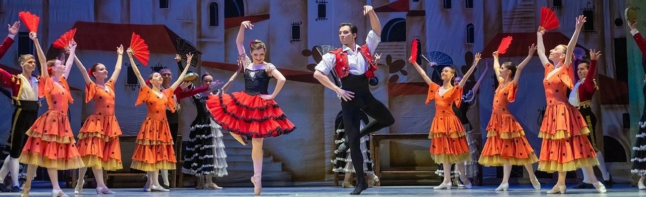 Постер Дон Кихот