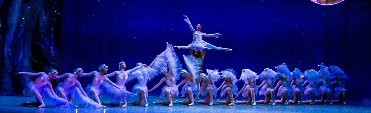 Постер Дорога лебедей