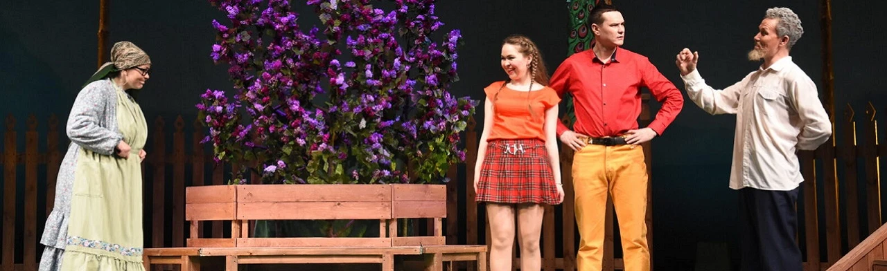 Постер Не сыграть ли свадьбу? / Туя туй пек тăвар-и?