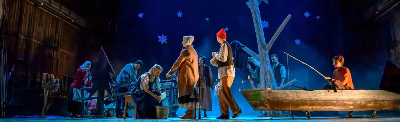 Постер Деревья растут для всех