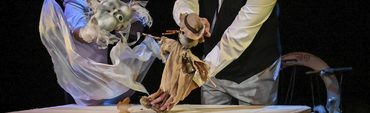 Постер Аистёнок и Пугало