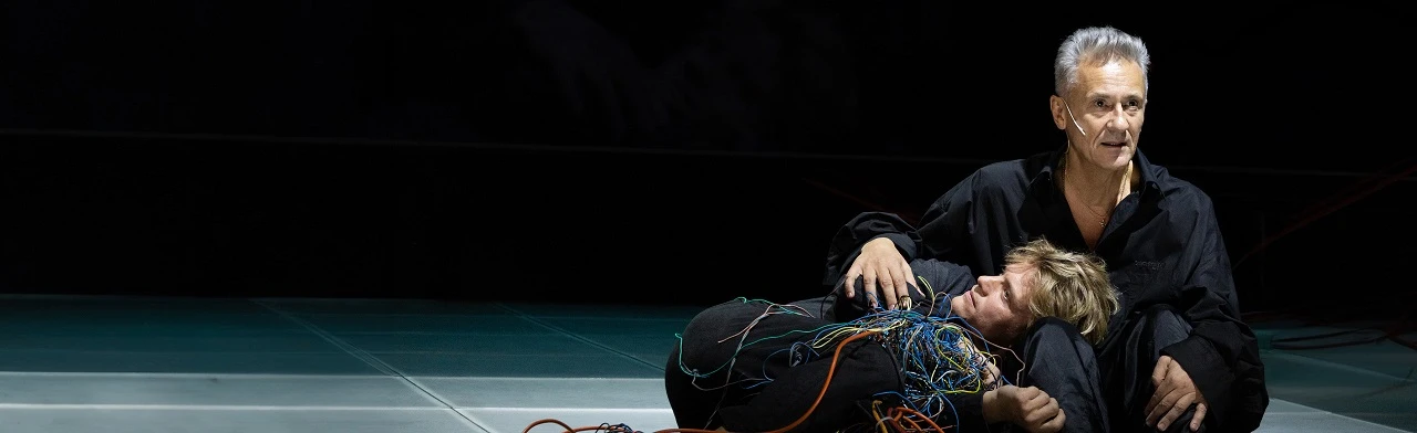 Постер Театр Ермоловой "Комната Адлера" в Екатеринбурге