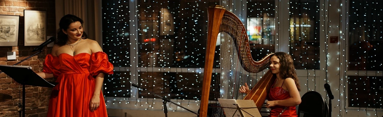 Постер Новогодний концерт «Мороз и Звезды»