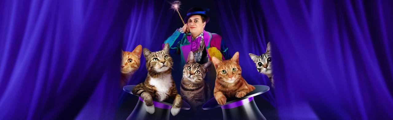 Постер Волшебные кошки Куклачева в Екатеринбурге