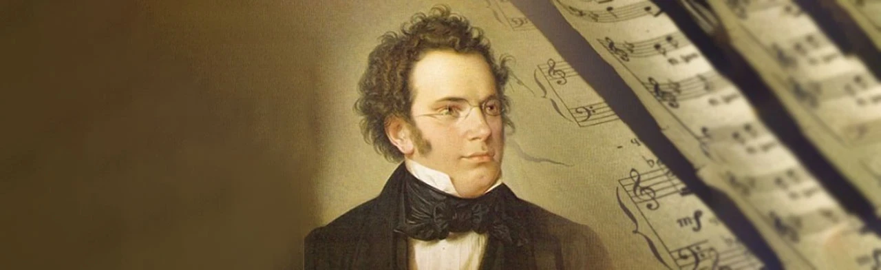 Постер Шуберт: небесная музыка в Екатеринбурге