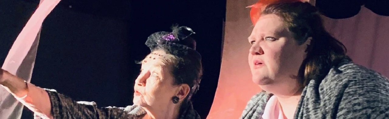 Постер Две дамочки в сторону севера в Екатеринбурге