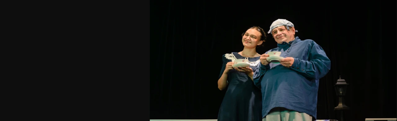 Постер Жениться, барин, вам пора! Водевиль