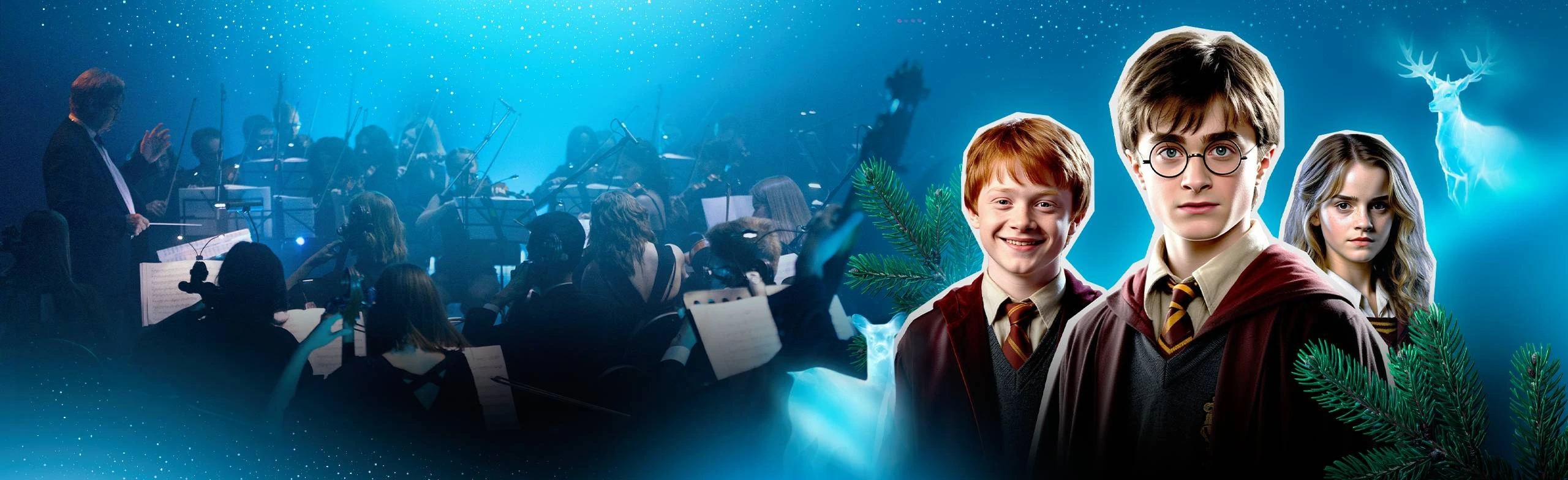 Постер Гарри Поттер-симфоническая сюита