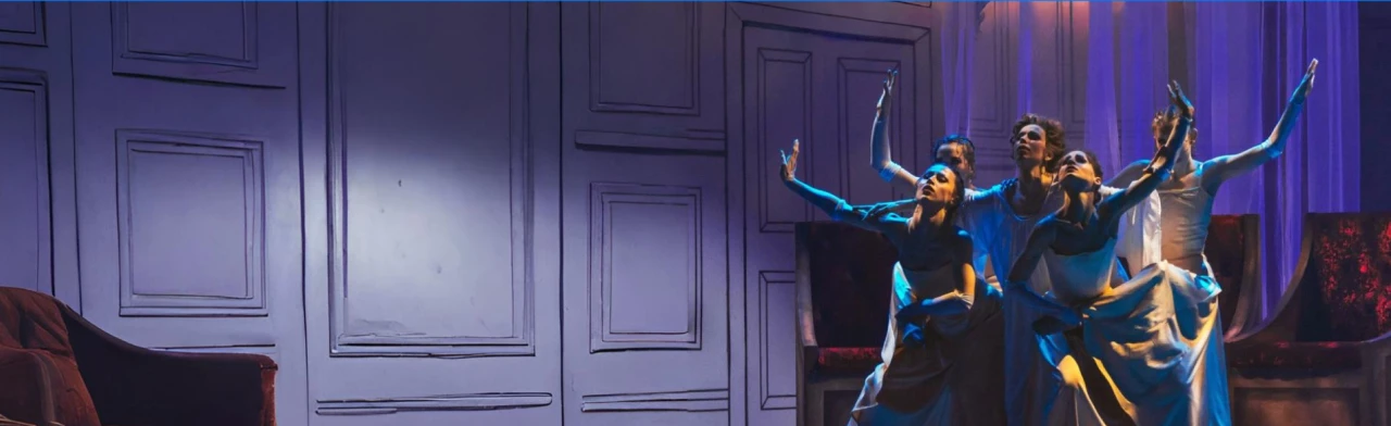 Постер Анна Каренина в Хабаровске