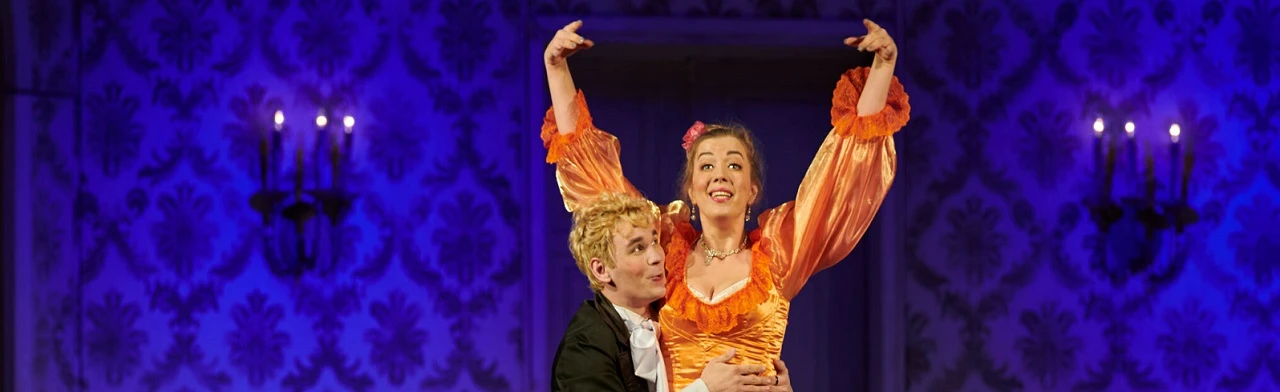 Постер Беда от нежного сердца в Хабаровске