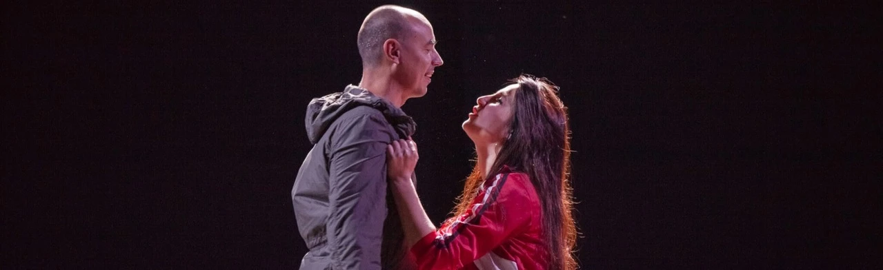 Постер Калина красная