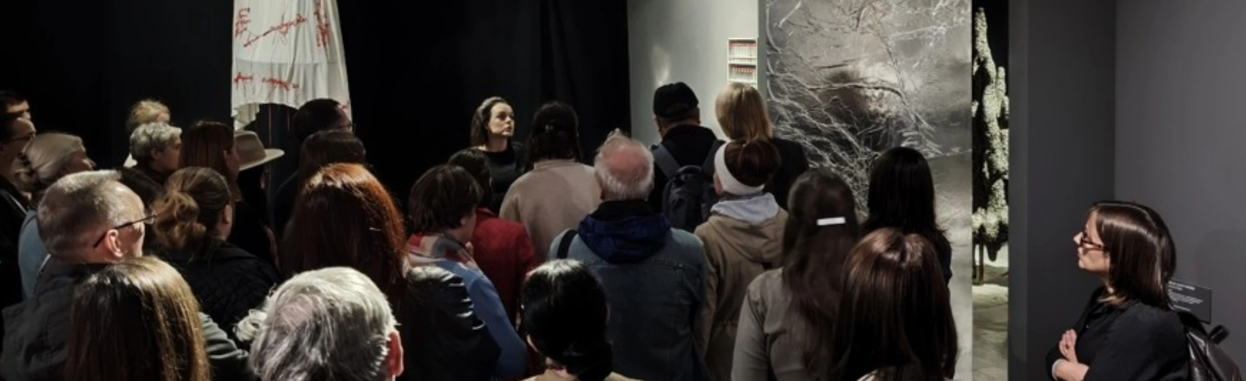 Постер Экскурсия по выставке "Лиминальные зоны" в Иванове