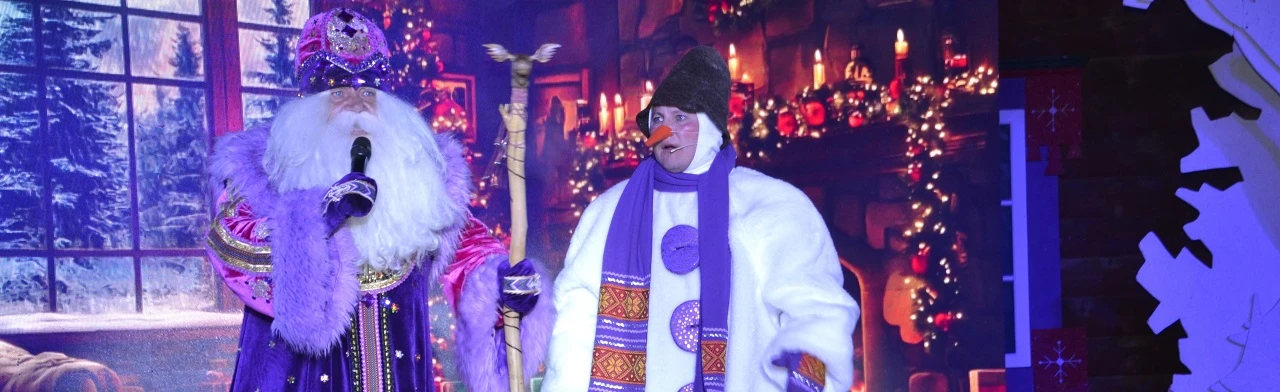 Постер В поисках новогодней коллекции. Новогодняя программа