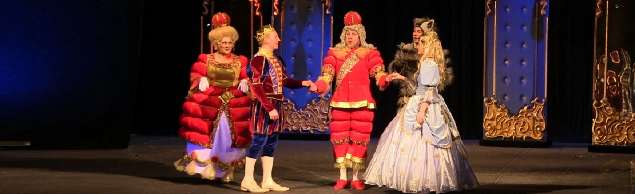 Постер Принцесса на горошине в Ижевске