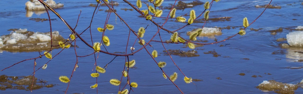 Постер Река Вятка в легендах, мифах и народных сказаниях. Лекция в Кирове