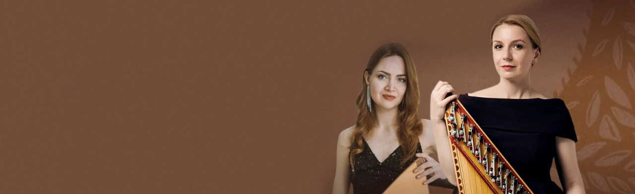 Постер Леди in Folk