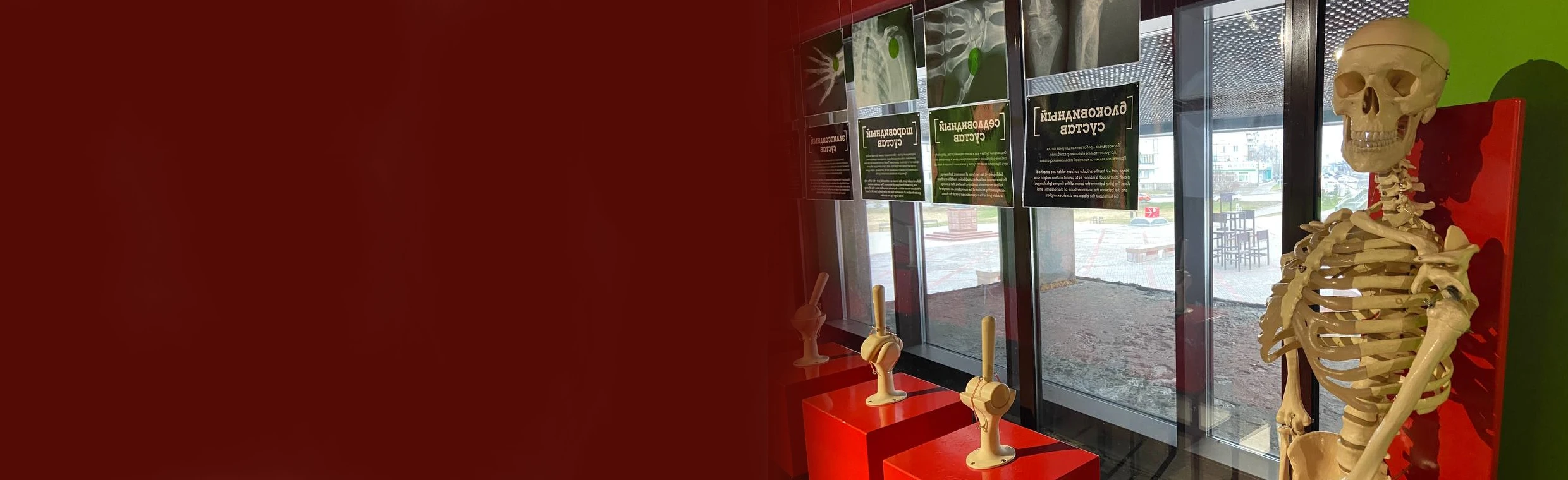 Постер 2 выставки по 1 билету: "Про тело человека" и "Физика-просто"