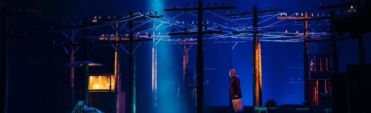 Постер Земля Эльзы в Красноярске