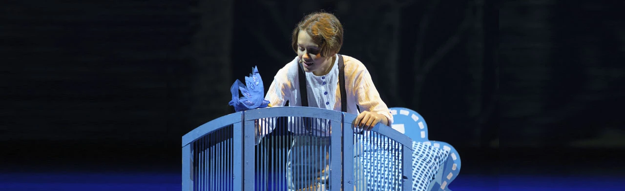 Постер Синяя птица в Красноярске