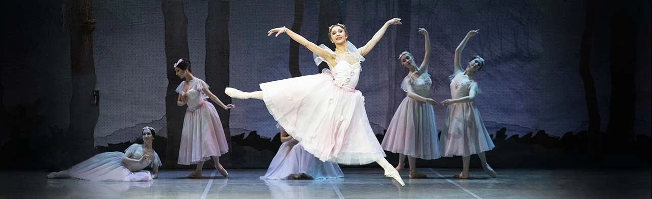 Постер Сильфида в Красноярске