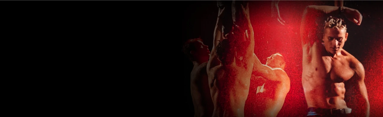 Постер Шоу под дождем. Признание в любви