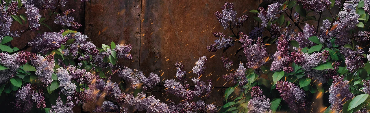 Постер Любить на войне в Красноярске