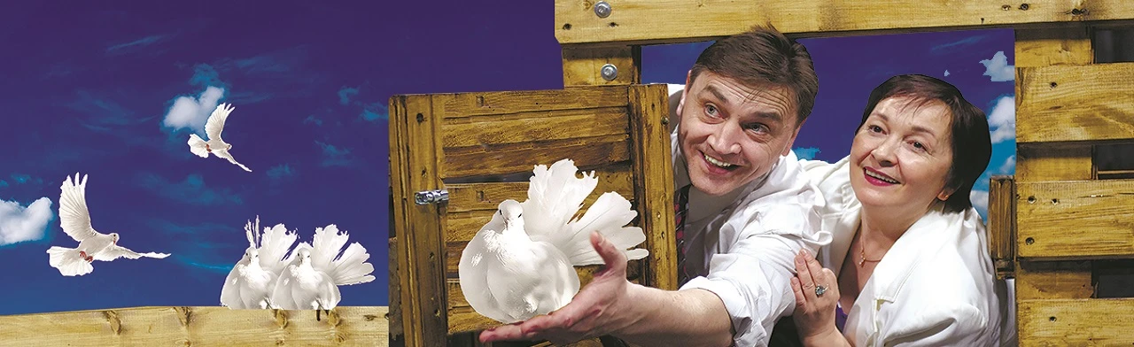 Постер Любовь и голуби / Мәхәббәт күгәрченнәре в Казани