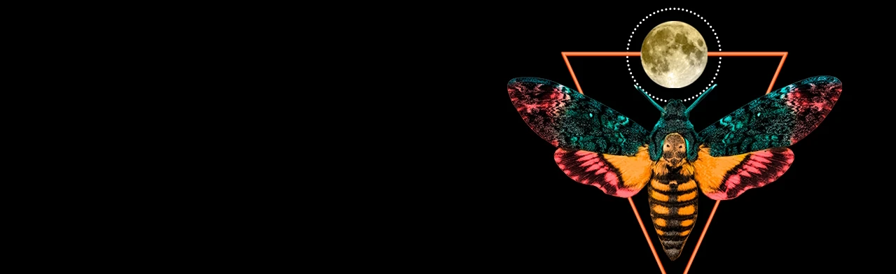 Постер Вероника решает... в Москве