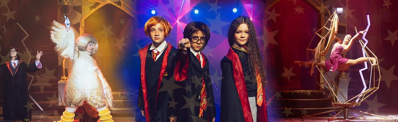 Постер Гарри Поттер. Новый год в Хогвартсе в Москве