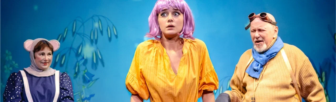 Постер Дюймовочка в Москве