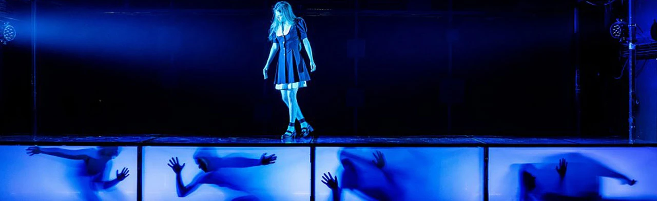 Постер Парадокс скворца в Москве