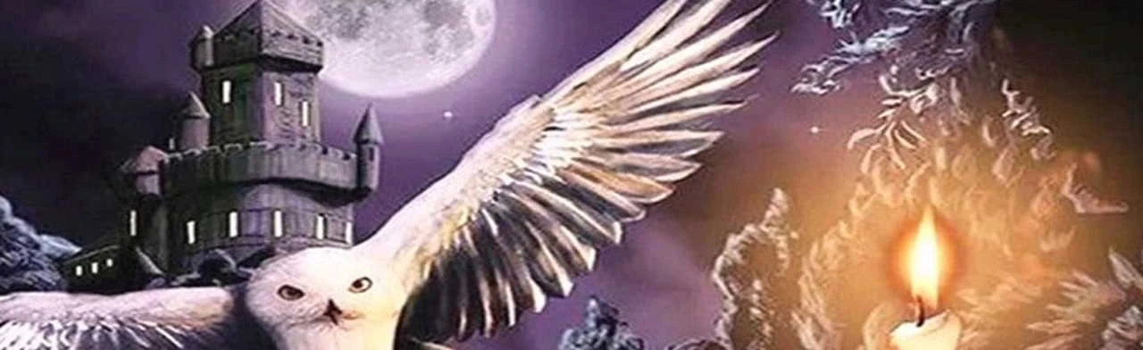 Постер Nella Musica Orchestra. Гарри Поттер в Москве