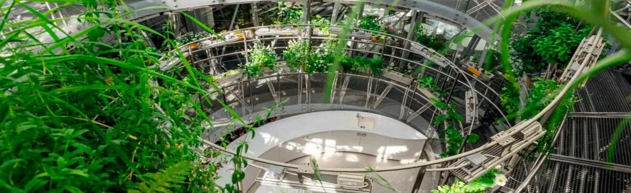 Постер Флора России в аэропонике Флорариума в Москве