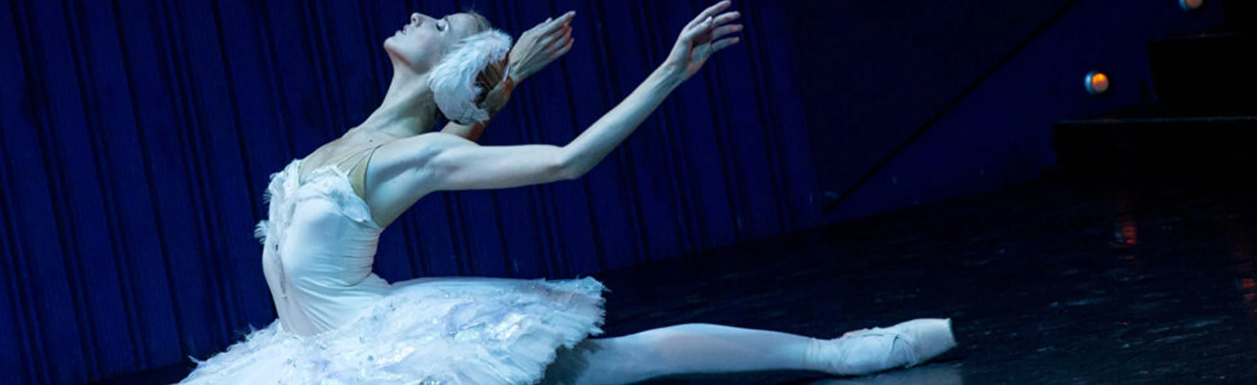 Постер BalletGala. Гала-Балет в Москве