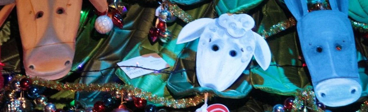 Постер Дуры мы, дуры