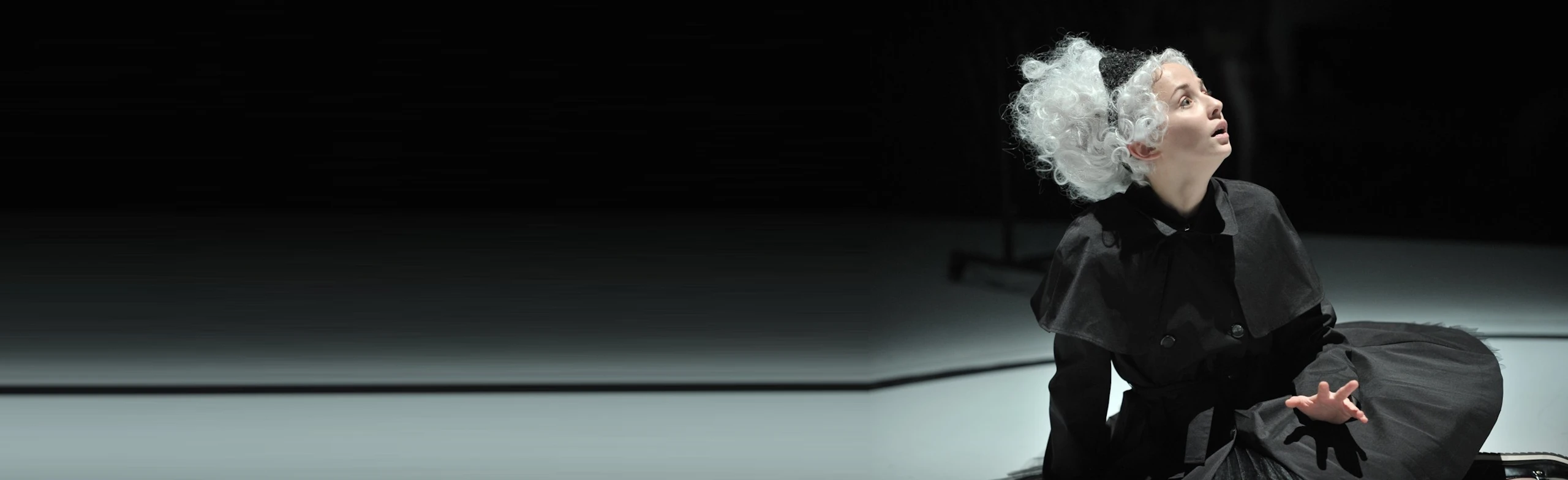 Постер Школа жён