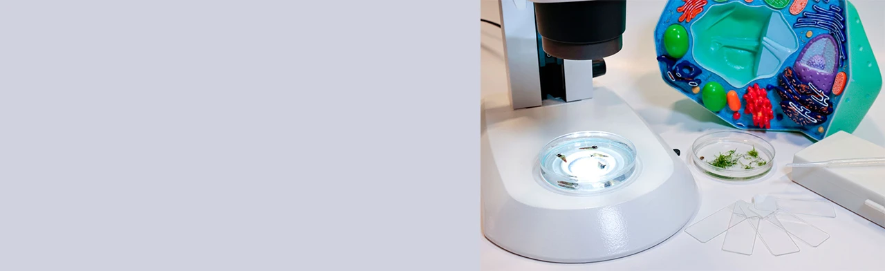 Постер Кто в пруду? в Москве