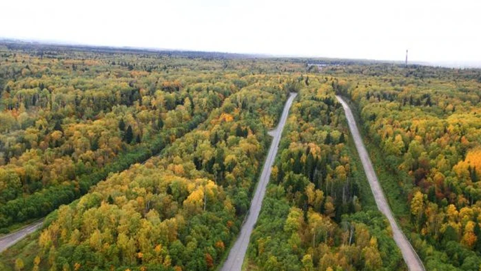 Постер площадки Дмитровский Автополигон НАМИ