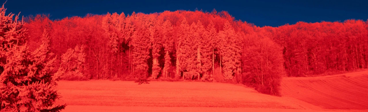 Постер Калина красная в Москве