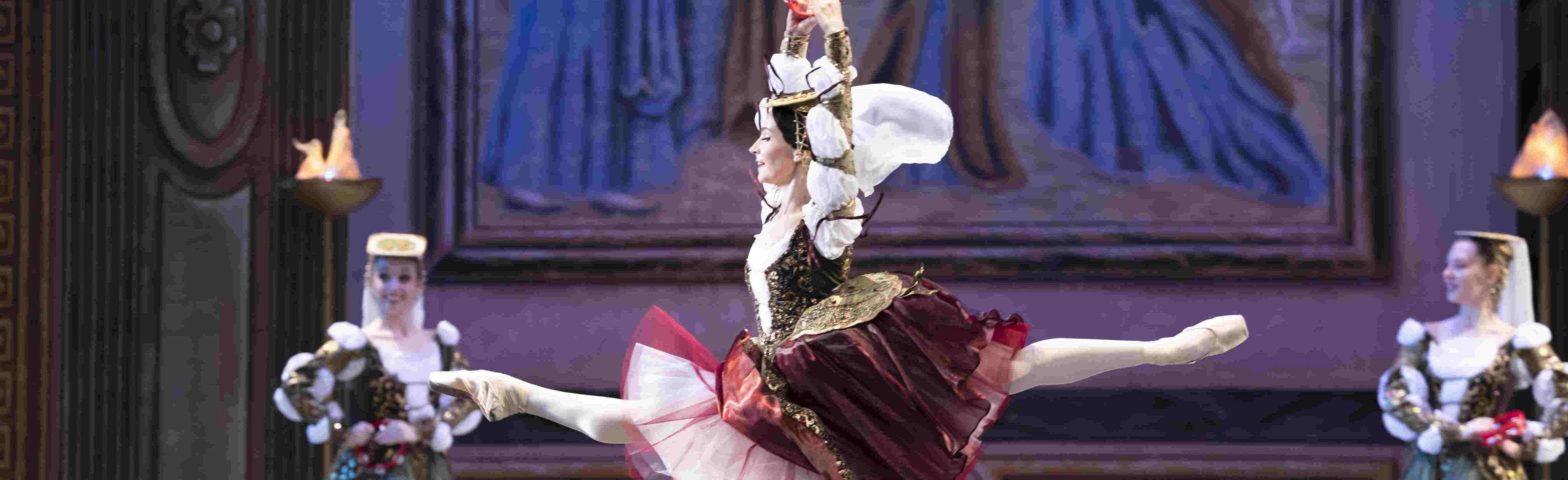 Постер Лебединое озеро в Москве